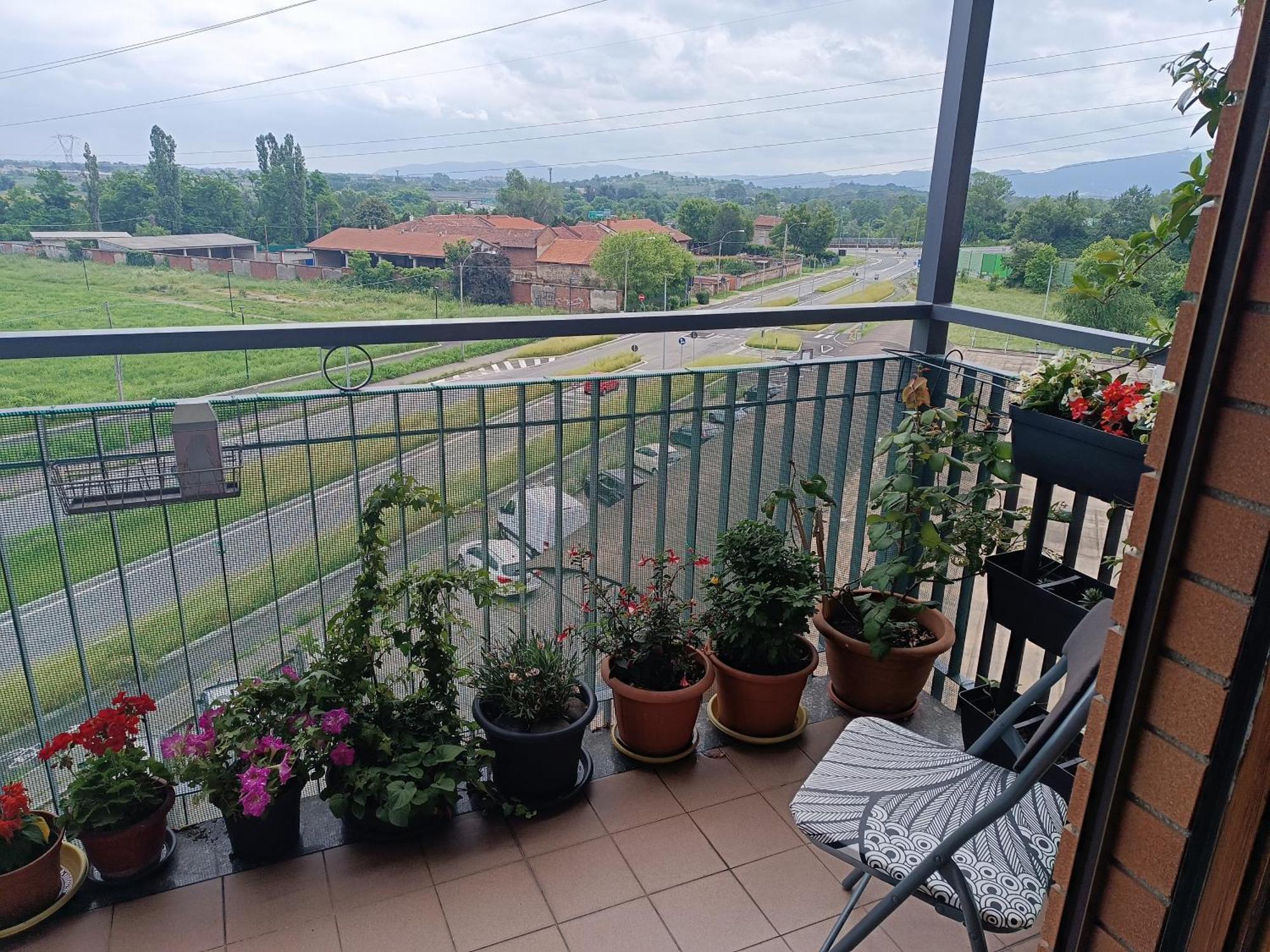In Casa Zoe Appartement Venaria Reale Buitenkant foto